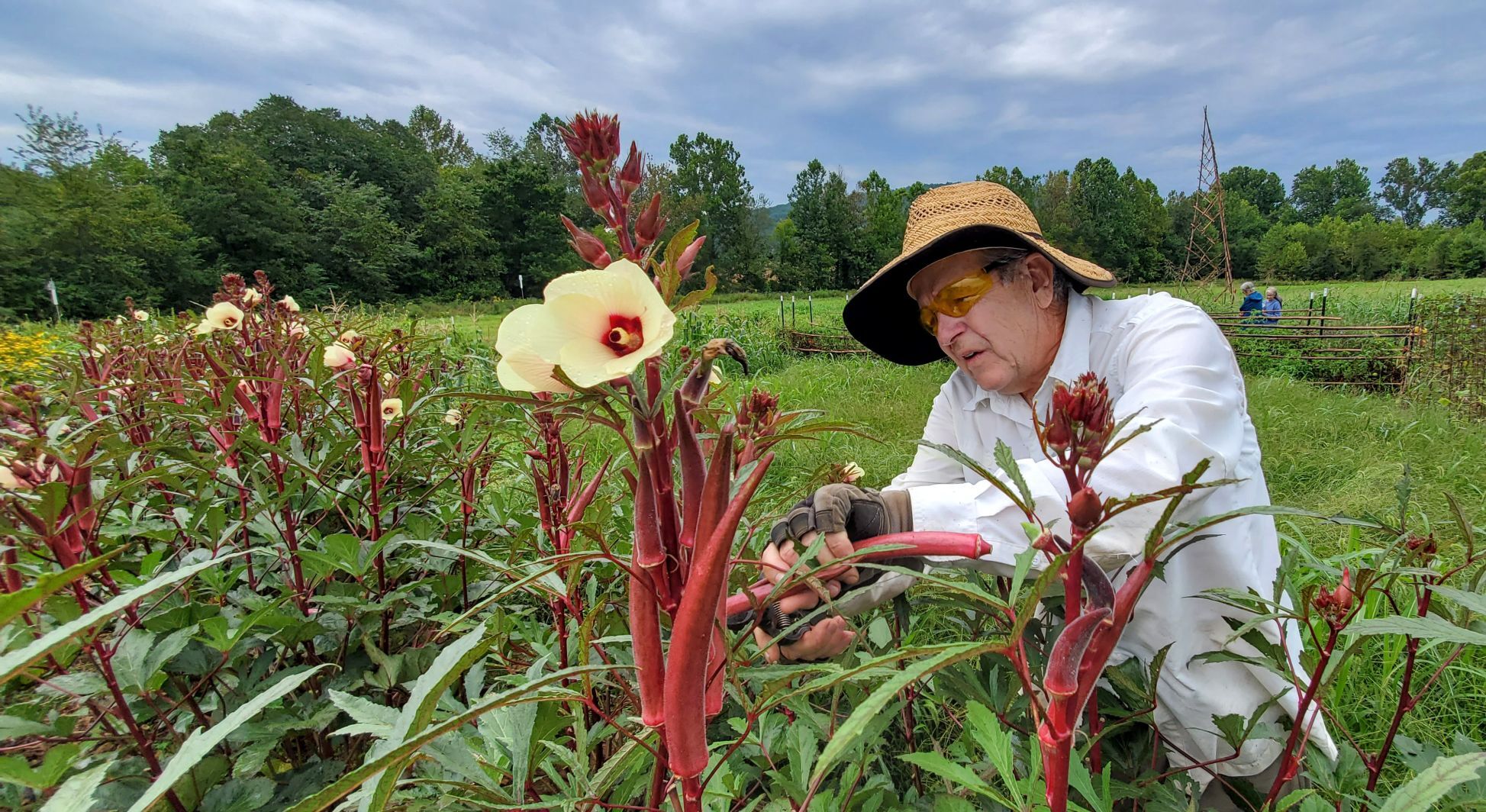 Gardeners Bob Lemon
